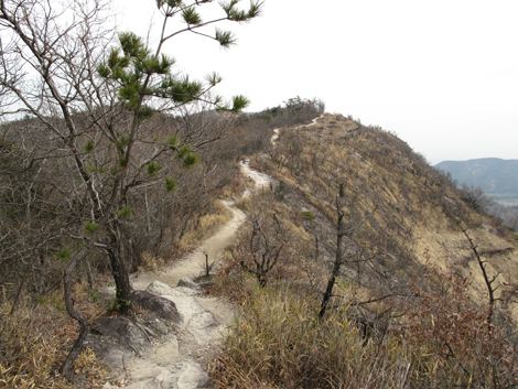 20140125hike (326)